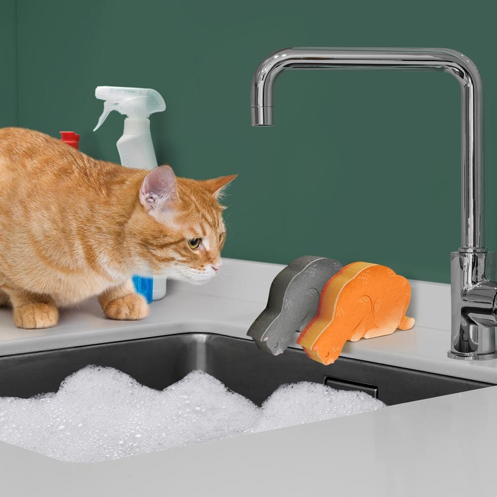 Kitchen Kittens Sponge Fred - Oscar & Libby's
