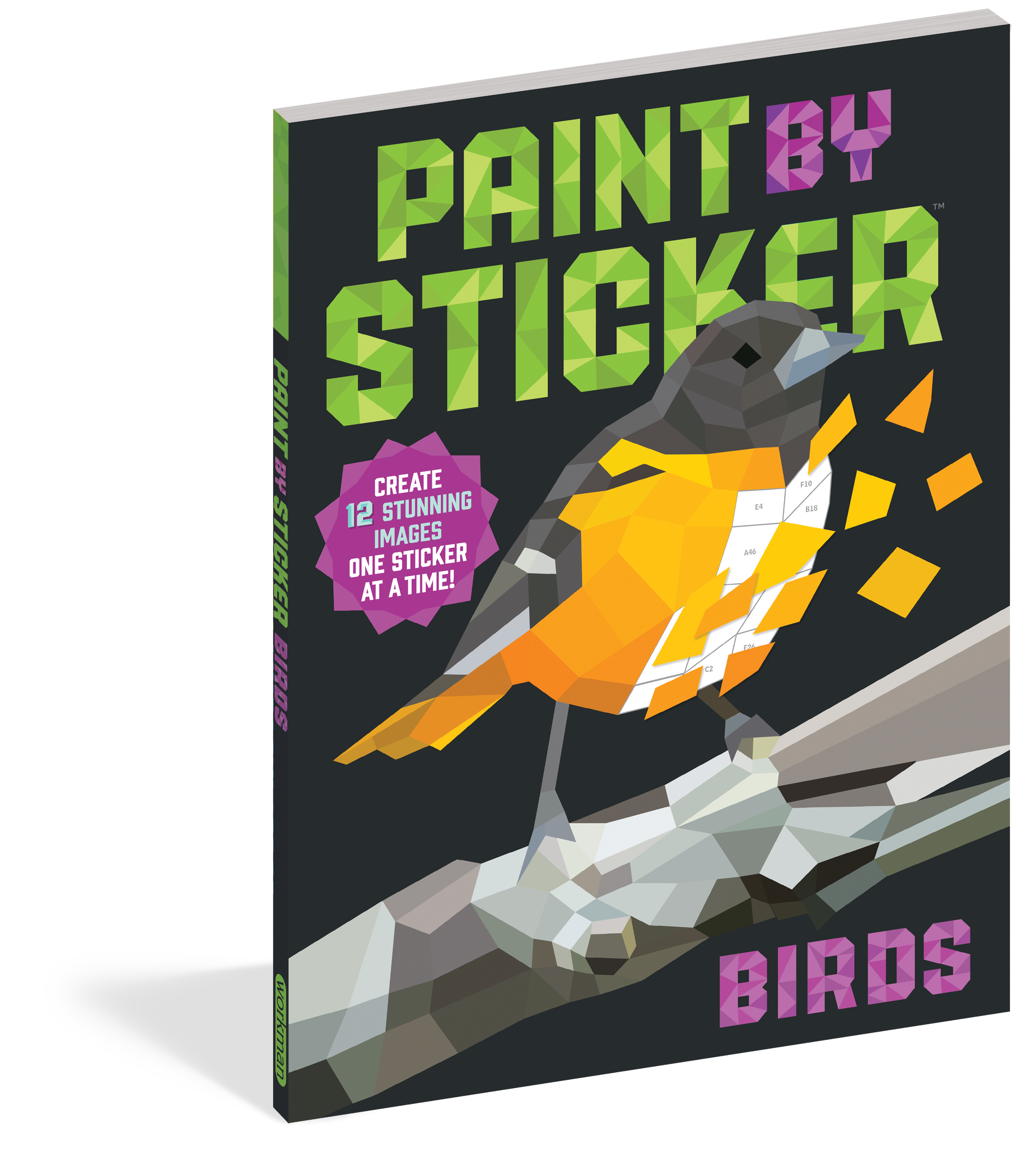 Paint by Stickers : Birds Workman - Oscar & Libby's