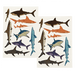 Temporary Tattoos | Sharks - Oscar & Libby's